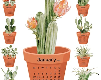 2027 2028 Cactus Succulent Pot Watercolor Desk Calendar Printable , Terracotta Houseplant Monthly Cards Calendar, DIY Paper Craft