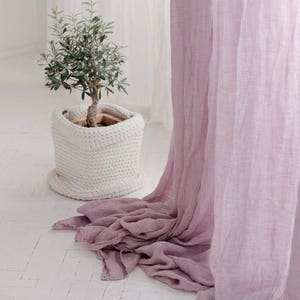 May include: A potted olive tree with green leaves sits on a white tiled floor in front of a sheer pink curtain.