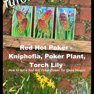 Red Hot Poker/Poker Lily - Video Tutorial & PDF, simple flower designs in stained glass for mosaic