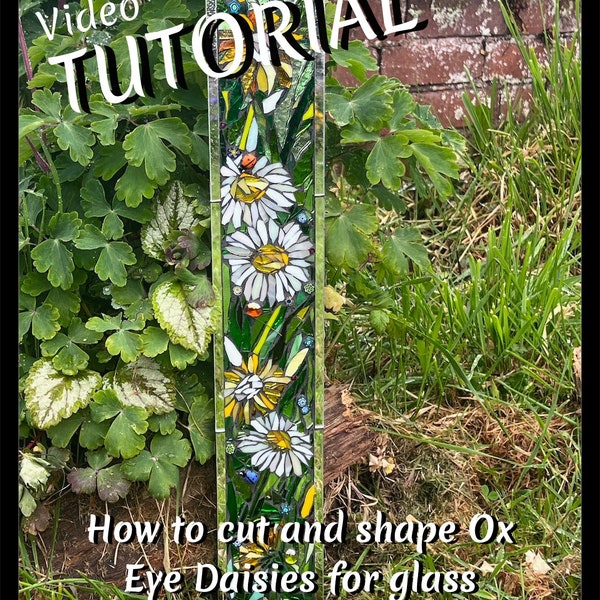 Ox Eyed Daisies - Video Tutorial & PDF, simple flower designs in stained glass for mosaic