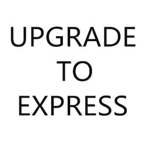 Upgrade shipping DHL, FedEX or TNT  (Need your cell phone number for delivery)