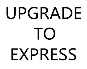 Upgrade shipping DHL, FedEX or TNT  (Need your cell phone number for delivery)