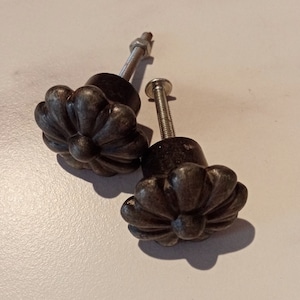 Könnte beinhalten: Zwei antike Metall-Schubladengriffe mit Blumenmuster. Die Griffe sind dunkelgrau mit einer silbernen Schraube.