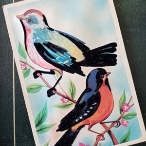Cartolina postale francese d'epoca degli anni '50 "Squeaker" carte postale francais 'squeaker'