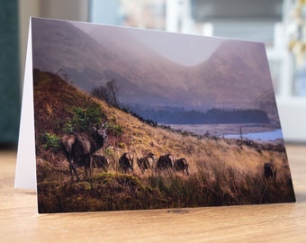 Scottish Highlands Greeting Card | Glen Etive Deer Blank Card | Thank You | Sorry | Scotland | Thinking of you | Happy Birthday | Christmas