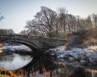 Glasgow Christmas Card | Pollok Park | Southside Glasgow Gift Ideas | Shawlands Blank Greeting Card | Birthday | Thank You | Blank Card