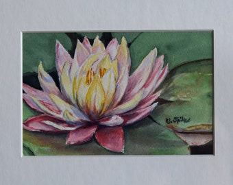 Water Lily, Flowers, Watercolor Painting, Original, Art, Fine Art, Handmade, Painting, Garden, Plants, Pink Flowers, Delicate Flowers