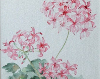 Geraniums, Flowers, Watercolor Painting, Original, Art, Fine Art, Handmade, Painting, Garden, Plants, Pink Flowers, Delicate Flowers