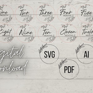 Floral Monthly Milestones, Digital Download! SVG,AI,PDF!