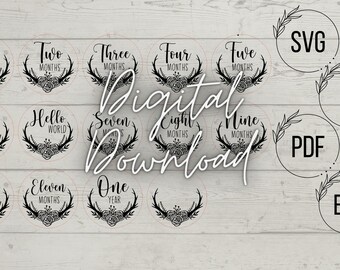 Antler Flower Crown Monthly Milestones, Digital Download! SVG,AI,PDF!