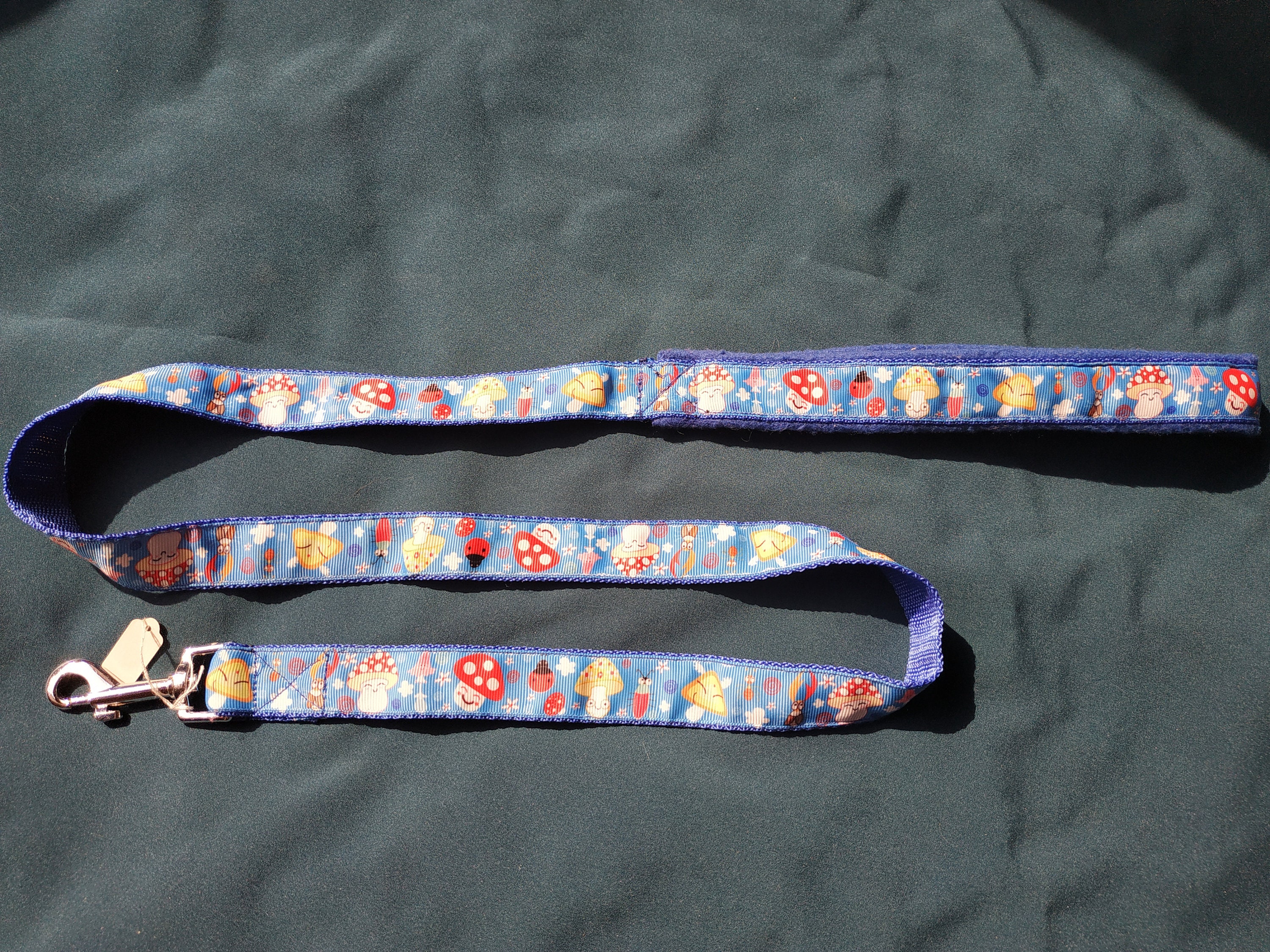 Laisse Simple 1M20, Simple Leash For Dogs 120 cm