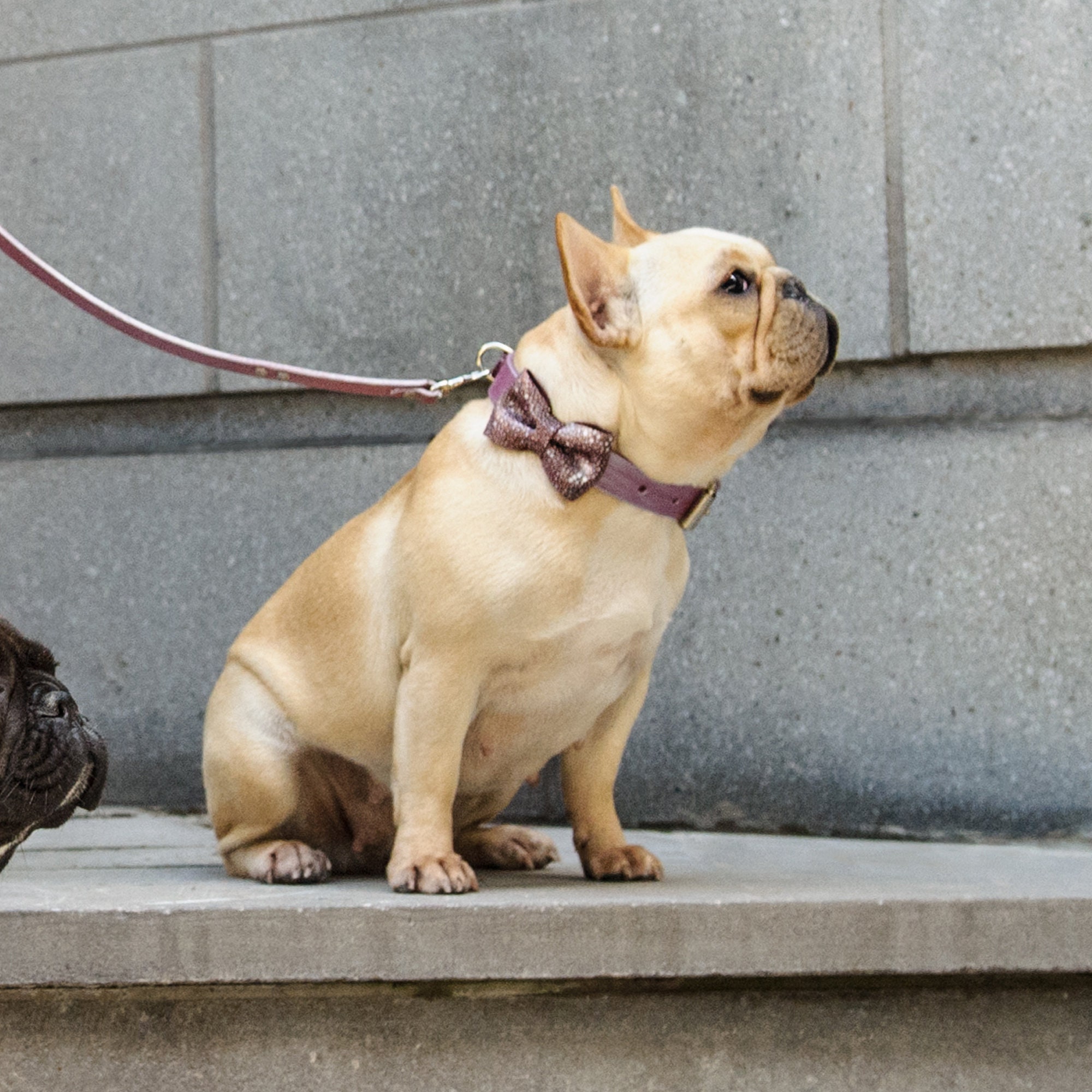 Leather Dog Bow Tie Girl - Handmade Ties Puppy Bowties Lover Gift