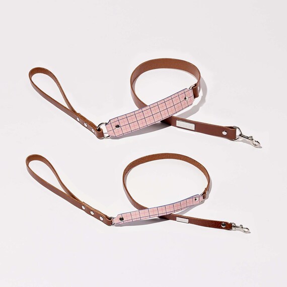 Dog leash girl 2025