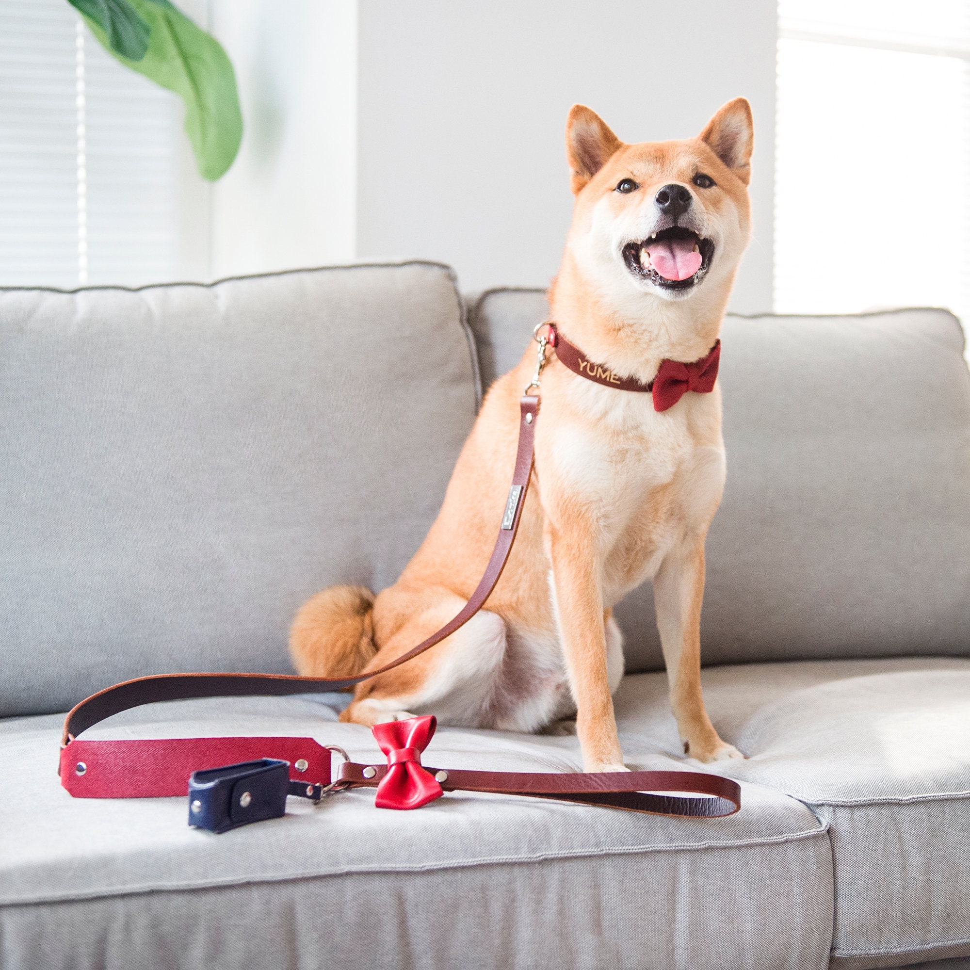 Dog Leash For Small To Large Breeds Leather Puppy Leash Etsy