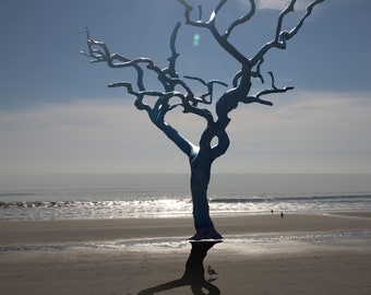 Beach Tree Collage, Original Signed Photo on Wood Panel