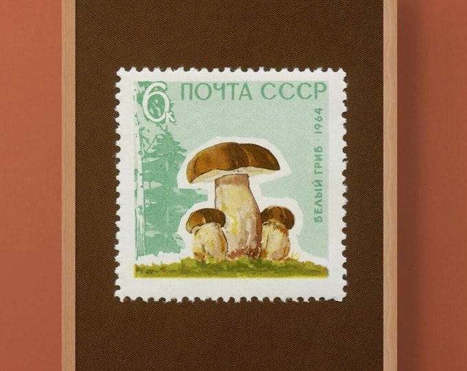 Vintage mushrooms print, Cep Mushroom, Penny Bun Mushroom, Mushroom Landscape Print, 1964 Soviet Union Stamp - Museum-Quality Print