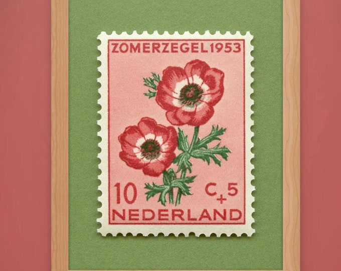 Netherlands Anemone Floral Postage Stamp Art Print: 1953 Vintage Flower Poster