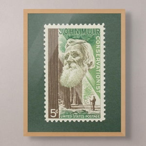 John Muir Poster, John Muir Print, John Muir Wandkunst, John Muir Stamp, Naturschutz Poster, 1964 5c Stempel - Museumsqualität Druck