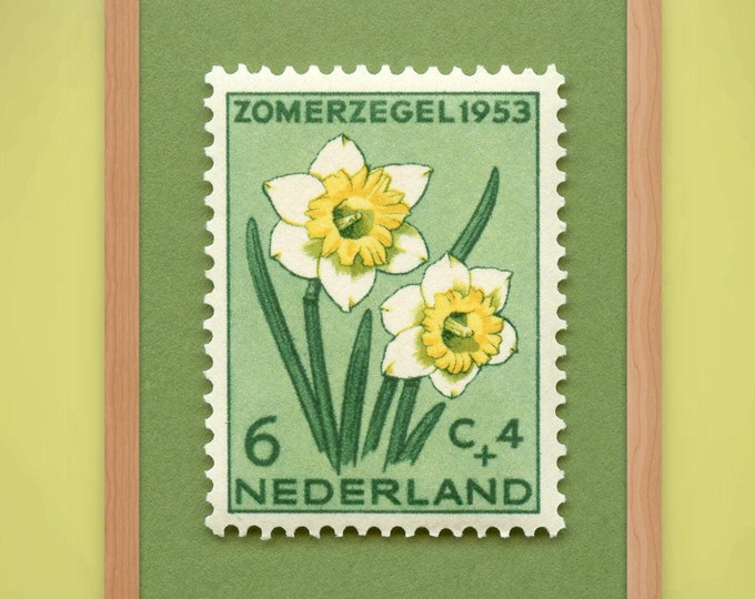 Netherlands Daffodil Stamp Art Print: 1953 Vintage Floral Wall Decor