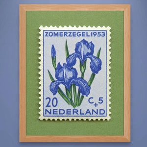 Niederlande Iris Stempel, Niederlande Kunstdruck, Nederland Iris Druck, Iris Kunstdruck, Iris Kunst, Iris Poster, Stempel 1953 - Museumsqualität