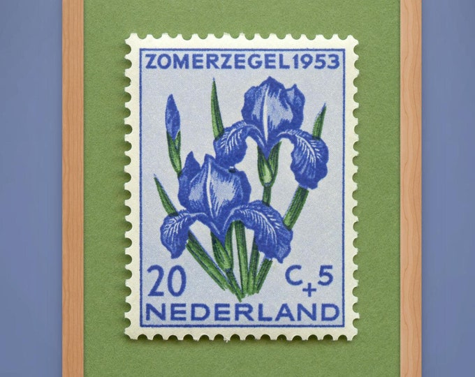 Netherlands Iris Floral Postage Stamp Art Print: 1953 Vintage Flower Poster