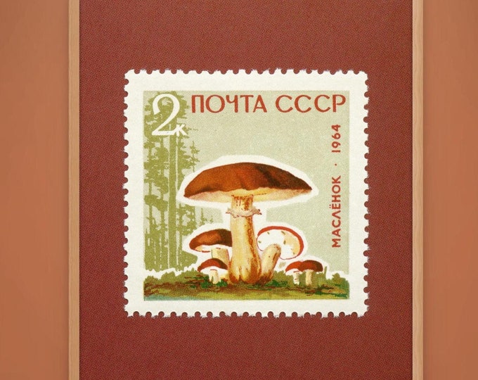 Soviet Union Mushroom, Vintage Mushroom Print, Slippery Jack Mushroom, Sticky Bun Mushroom, Mushroom Art, 1964 Stamp - Museum-Quality Print