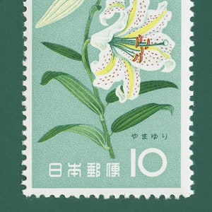Lilie Oriental Japan, Lilie Druck, Lilie, Lilie Poster, Japan Botanischer Druck, Lilie Orientalisch, Lilie Poster, 1961 Stempel - Druck in Museumsqualität