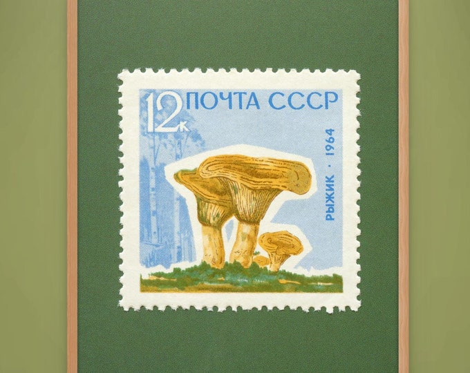 Mushroom Art Print, Saffron Milk-Cap Mushroom, Mushroom Wall Art, Mushroom Stamp, Mushroom Poster, 1964 Soviet Union Stamp - Museum-Quality