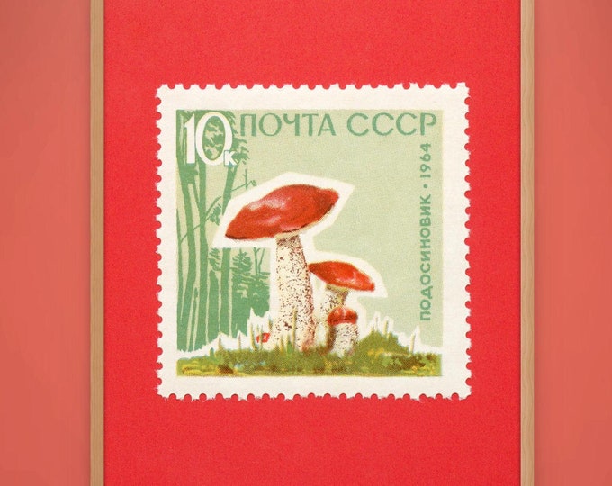 Retro Mushroom Print, Vintage Mushroom Poster, Red-capped Scaber Stalk, Vintage Mushroom Print, 1964 Soviet Union Stamp - Museum-Quality