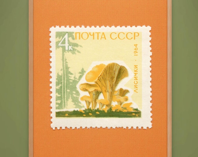 Retro Mushroom Print, Golden Chanterelle, Mushroom Art Print, Mushroom Poster, Mushroom Wall Decor, 1964 Soviet Union Stamp - Museum-Quality