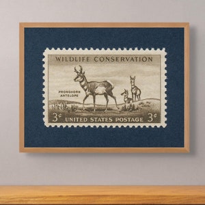 Pronghorn Antilope Wildschutzdruck, Antilope Poster, Pronghorn Wandkunst, Pronghorn Kunst, 3c Stempel 1956 - Museumsqualität