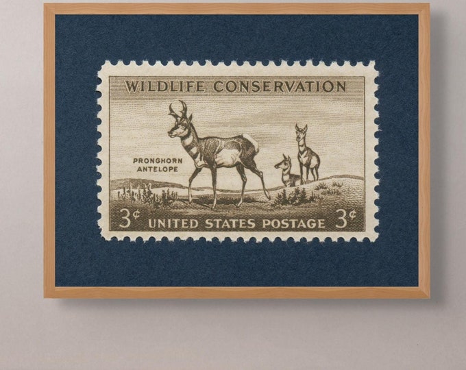 Pronghorn Antelope Stamp Art Print: Wildlife Conservation 1956