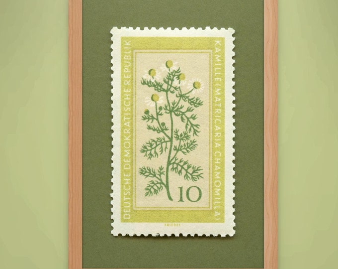 Chamomile Stamp Art Print: 1960s German Medicinal Flower