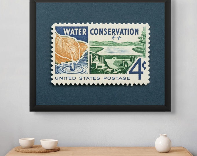 Water Conservation Stamp Print: 1960s Environmental Art
