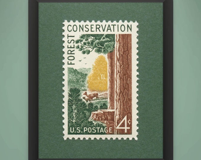 Forest Conservation Stamp Art Print: 1958 Forestry Poster