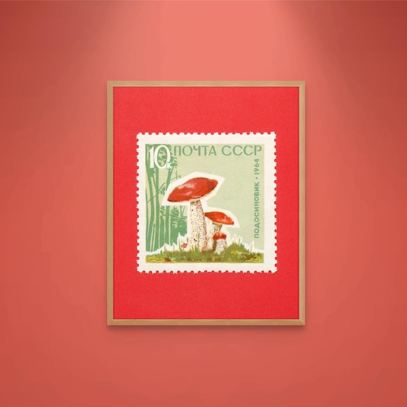 Retro Mushroom Print, Vintage Mushroom Poster, Red-capped Scaber Stalk, Vintage Mushroom Print, 1964 Soviet Union Stamp - Museum-Quality
