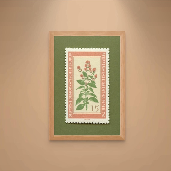Peppermint Stamp Art Print: 1960s German Medicinal Flower