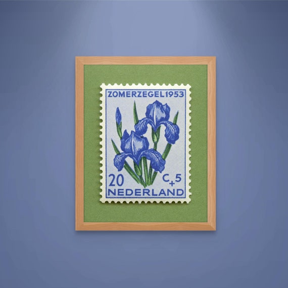 Netherlands Iris Floral Postage Stamp Art Print: 1953 Vintage Flower Poster