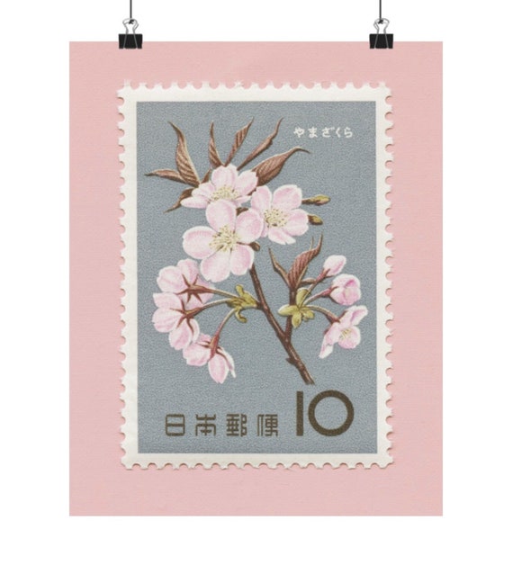 Cherry Blossoms Japan, Cherry Blossoms Print, Cherry