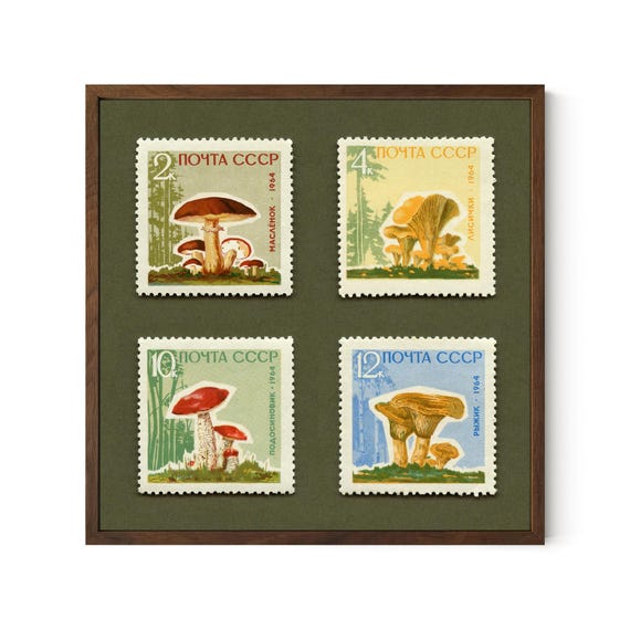 Mushroom Set Art, USSR 1964 Postage Stamps - Archival Paper, Framed/Unframed Options