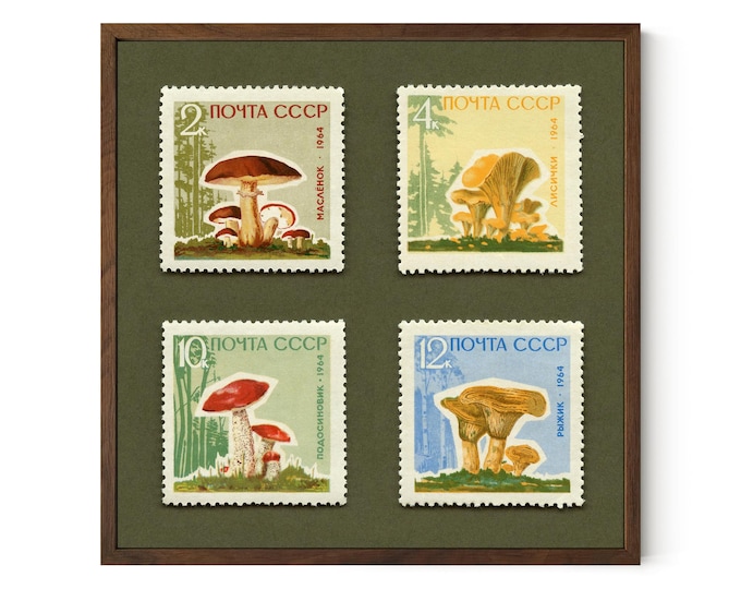 Mushroom Set Art, USSR 1964 Postage Stamps - Archival Paper, Framed/Unframed Options