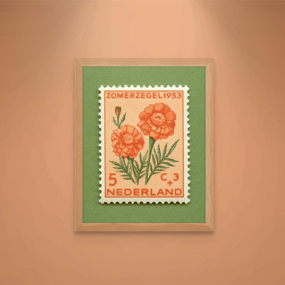 Netherlands Marigold Stamp Art Print: 1953 Vintage Flower