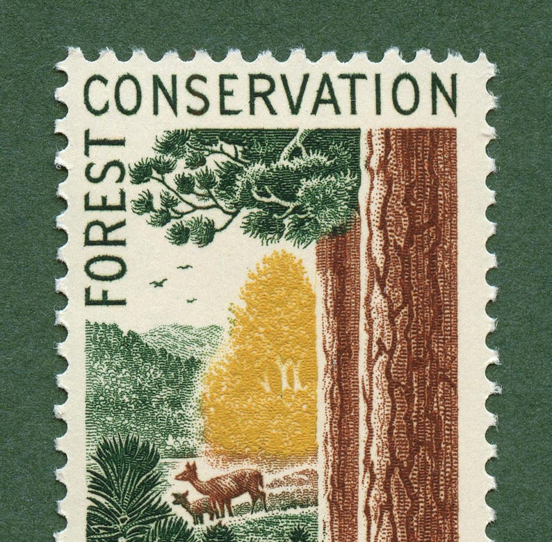 Forest Conservation Stamp Art Print: bosbouwposter 1958 afbeelding 2