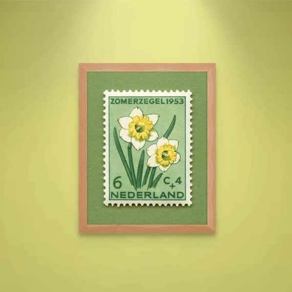 Netherlands Daffodil Stamp Art Print: 1953 Vintage Floral Wall Decor