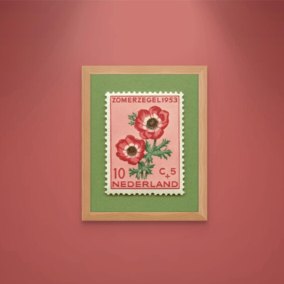 Netherlands Anemone Floral Postage Stamp Art Print: 1953 Vintage Flower Poster