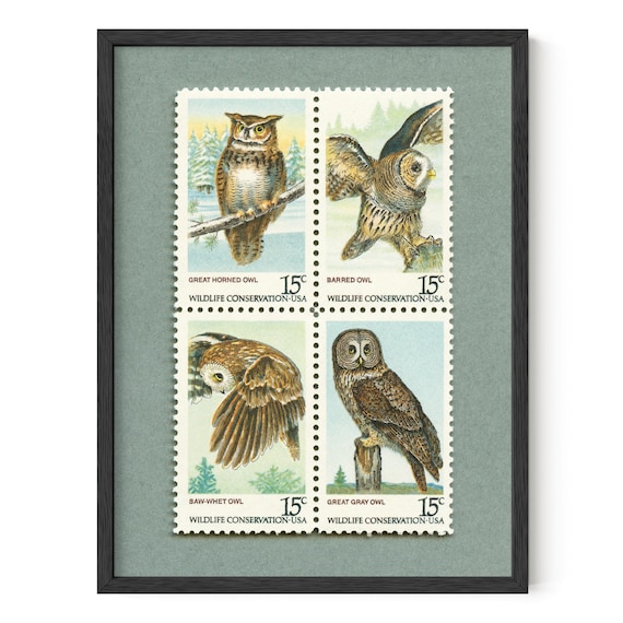 Vintage American Owls Postage Stamp Set of 4 Art Print: Wildlife Conservation Wall Decor Framed/Unframed Option