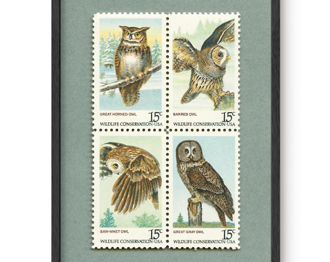 Featured listing image: Vintage American Owls Postage Stamp Set of 4 Art Print: Wildlife Conservation Wall Decor Framed/Unframed Option