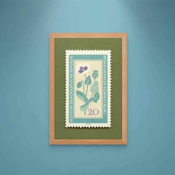 1960 German Poppy Postage Stamp Art Print: Vintage Medicinal Flower