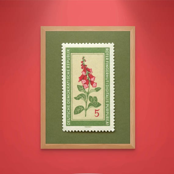 Red Foxglove Stamp Art Print, 1960 German Medicinal Flowers Stamp Print, Foxglove Art Print, Foxglove Art, Foxglove Poster - Museum-Quality
