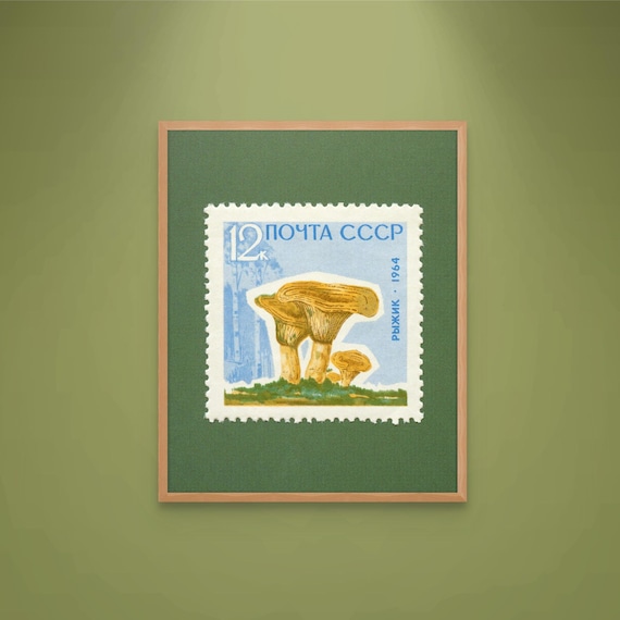 Mushroom Art Print, Saffron Milk-Cap Mushroom, Mushroom Wall Art, Mushroom Stamp, Mushroom Poster, 1964 Soviet Union Stamp - Museum-Quality